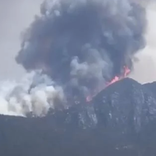 Fuerte incendio consume bosques de Logueche, en la Sierra Sur de Oaxaca; movilizan brigadas de Conafor